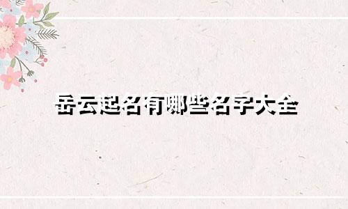 岳云起名有哪些名字大全