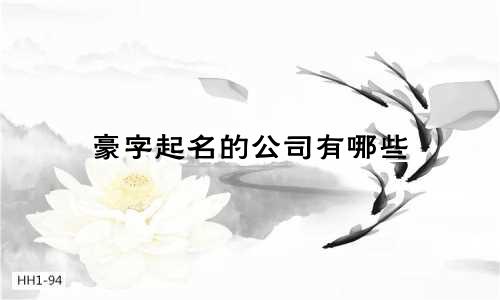 豪字起名的公司有哪些
