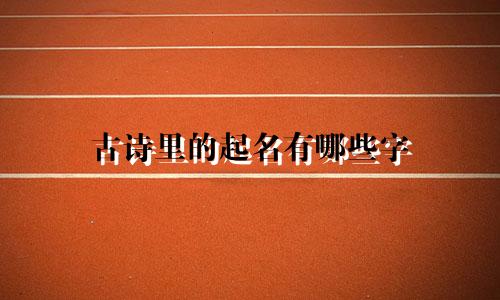 古诗里的起名有哪些字