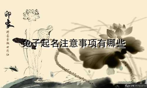 兔子起名注意事项有哪些