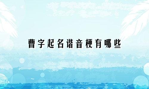 曹字起名谐音梗有哪些