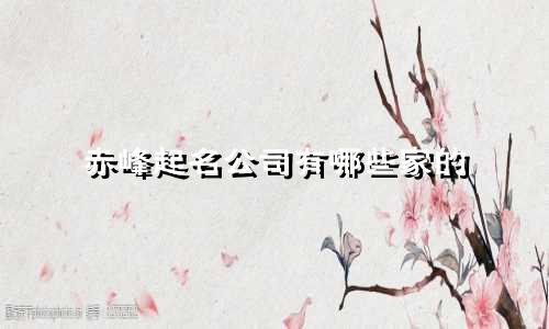 赤峰起名公司有哪些家的