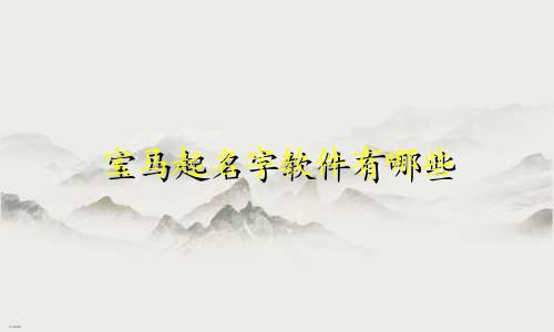 宝马起名字软件有哪些