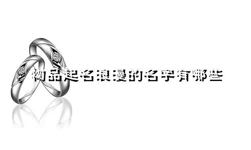 物品起名浪漫的名字有哪些