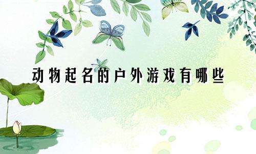 动物起名的户外游戏有哪些