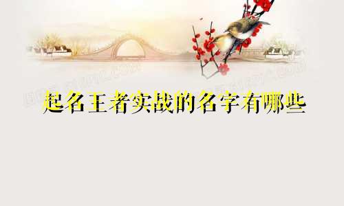 起名王者实战的名字有哪些