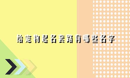 给宠物起名套路有哪些名字