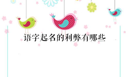 语字起名的利弊有哪些