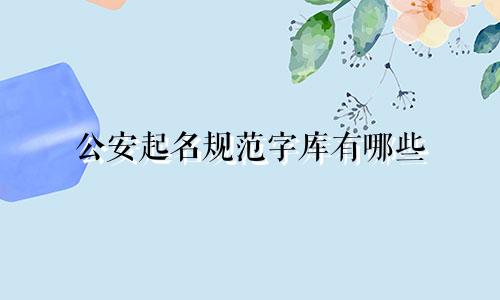 公安起名规范字库有哪些