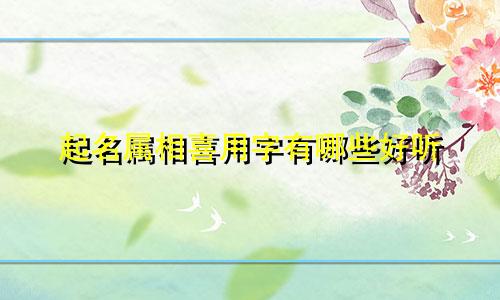 起名属相喜用字有哪些好听