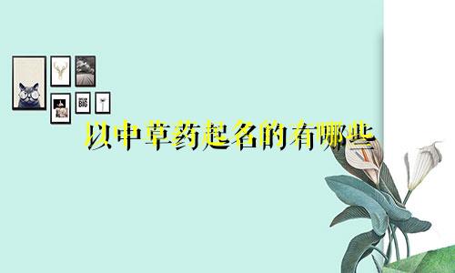以中草药起名的有哪些