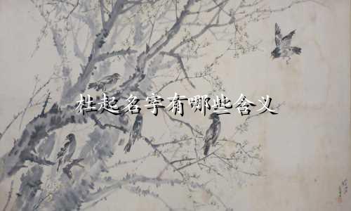 杜起名字有哪些含义