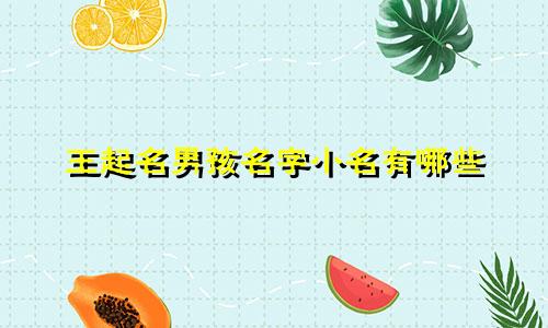 王起名男孩名字小名有哪些