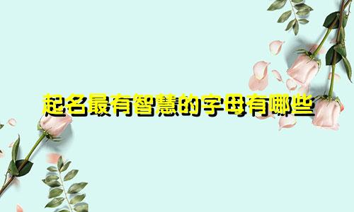 起名最有智慧的字母有哪些
