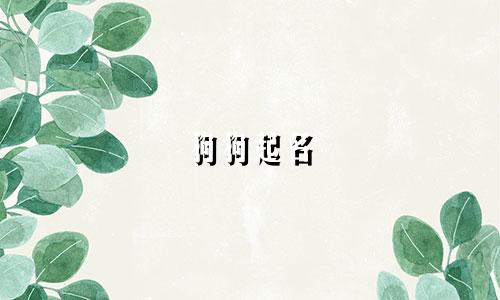 狗狗起名 独特的名字有哪些