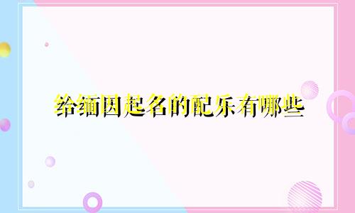 给缅因起名的配乐有哪些