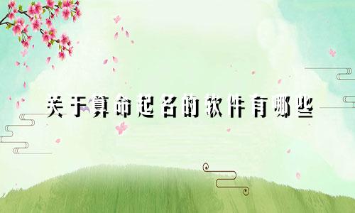 关于算命起名的软件有哪些