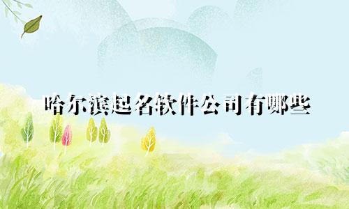 哈尔滨起名软件公司有哪些