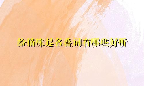 给猫咪起名叠词有哪些好听