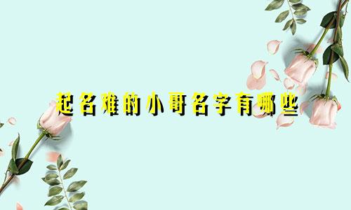 起名难的小哥名字有哪些