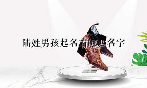 陆姓男孩起名有哪些名字