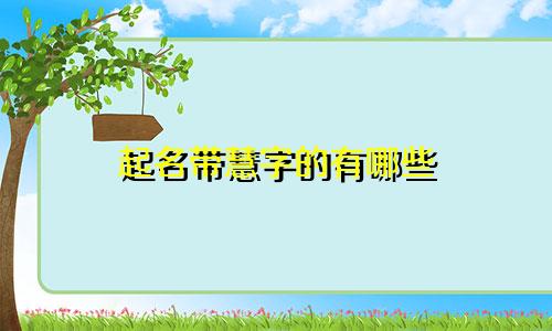起名带慧字的有哪些