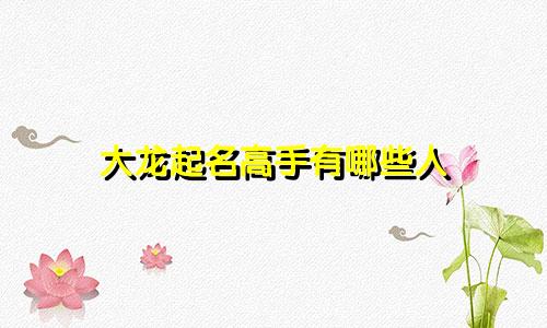 大龙起名高手有哪些人