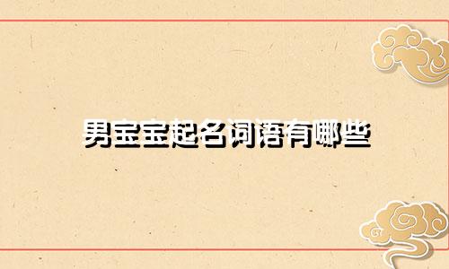 男宝宝起名词语有哪些