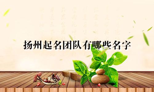 扬州起名团队有哪些名字