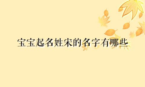 宝宝起名姓宋的名字有哪些