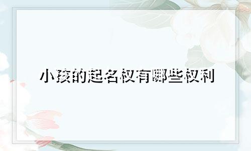 小孩的起名权有哪些权利