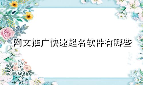 网文推广快速起名软件有哪些
