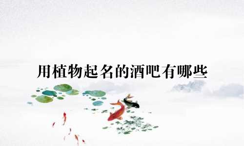 用植物起名的酒吧有哪些