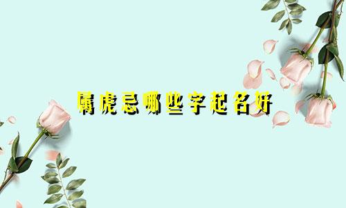 属虎忌哪些字起名好