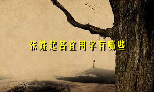 张姓起名宜用字有哪些