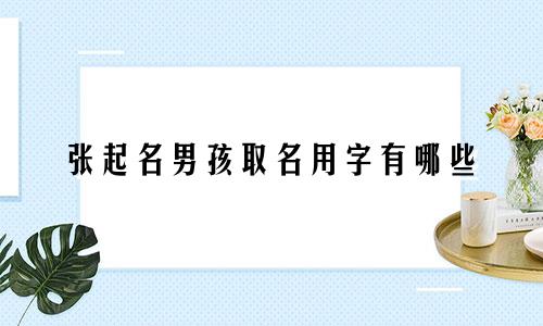 张起名男孩取名用字有哪些