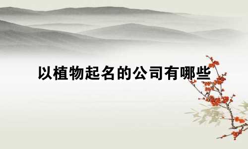以植物起名的公司有哪些