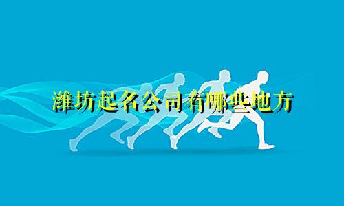 潍坊起名公司有哪些地方