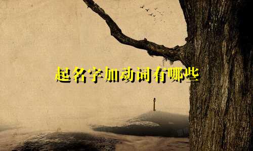 起名字加动词有哪些