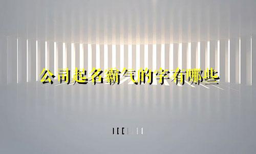 公司起名霸气的字有哪些