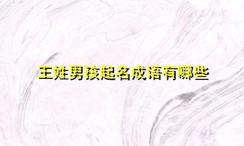 王姓男孩起名成语有哪些