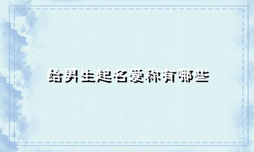 给男生起名爱称有哪些