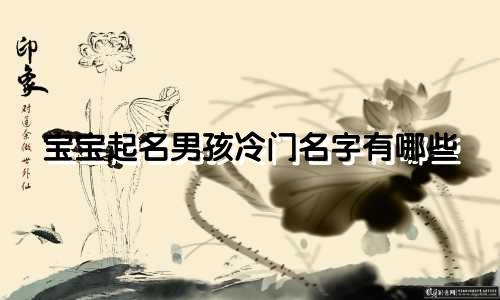 宝宝起名男孩冷门名字有哪些
