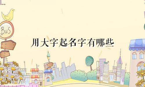 用大字起名字有哪些
