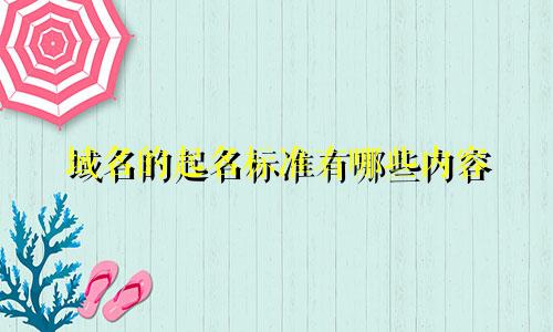 域名的起名标准有哪些内容