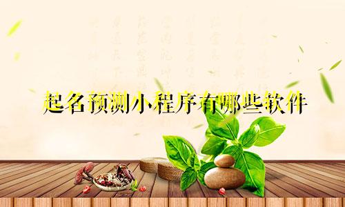 起名预测小程序有哪些软件