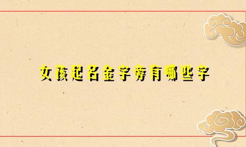 女孩起名金字旁有哪些字
