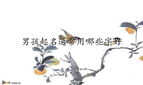 男孩起名通常用哪些字好