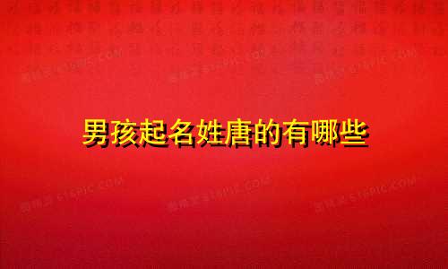 男孩起名姓唐的有哪些