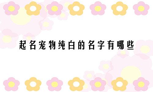 起名宠物纯白的名字有哪些